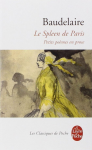 Le Spleen de Paris (petits poèmes en prose)